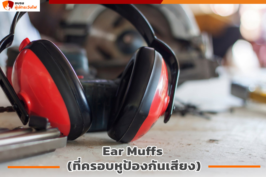 Ear Muffs