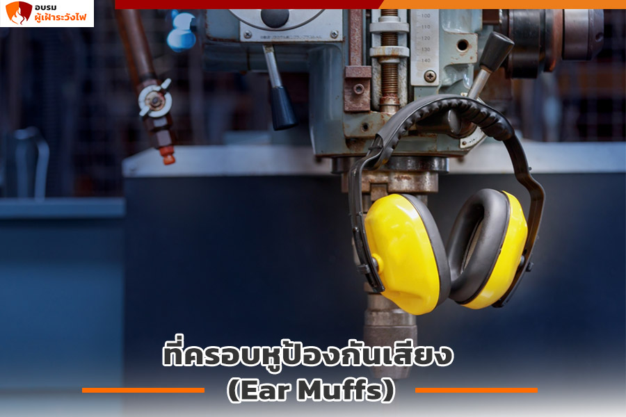 Ear Muffs